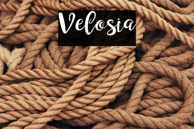 Velosia Example 1