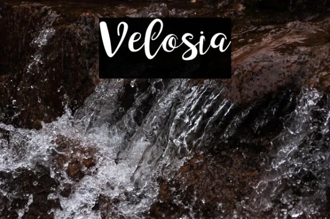 Velosia Example 2