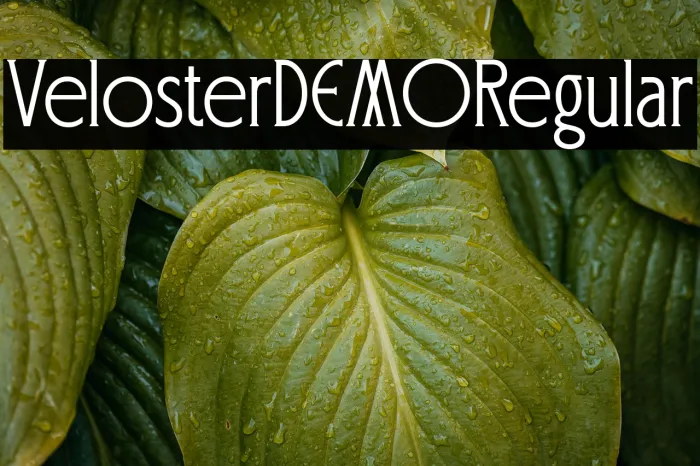 Veloster DEMO Regular Example 3