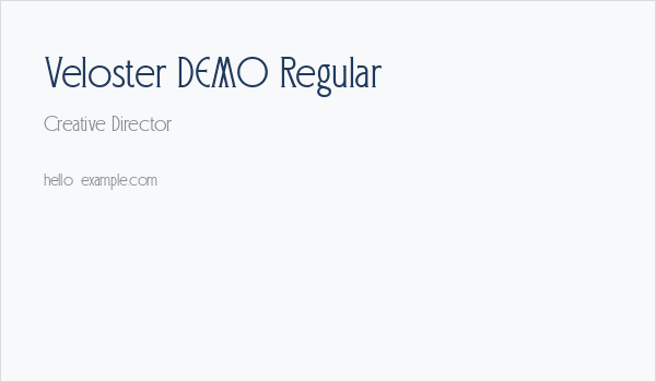 Veloster DEMO Regular Business Card