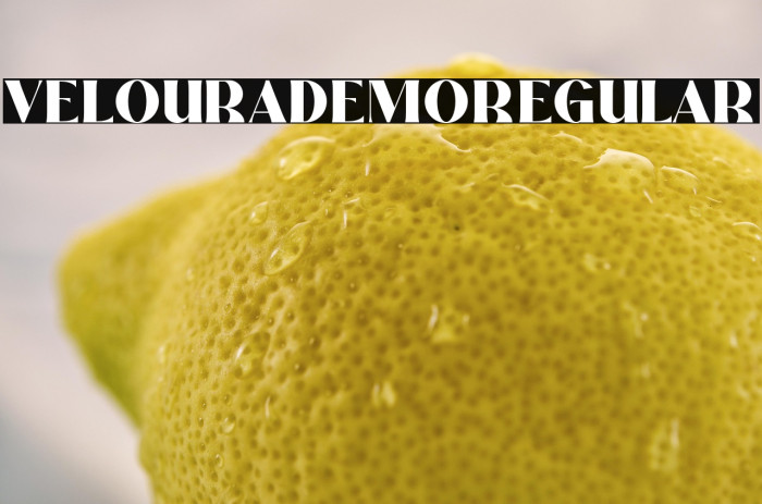 Veloura Demo Regular Example 1