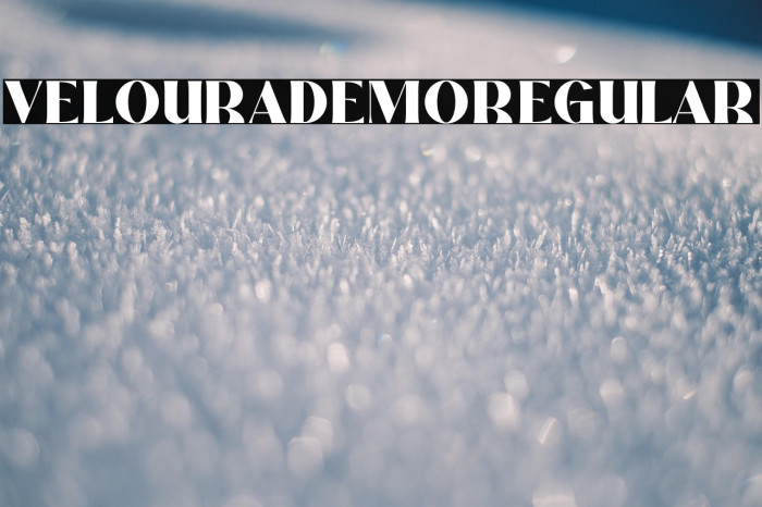 Veloura Demo Regular Example 3
