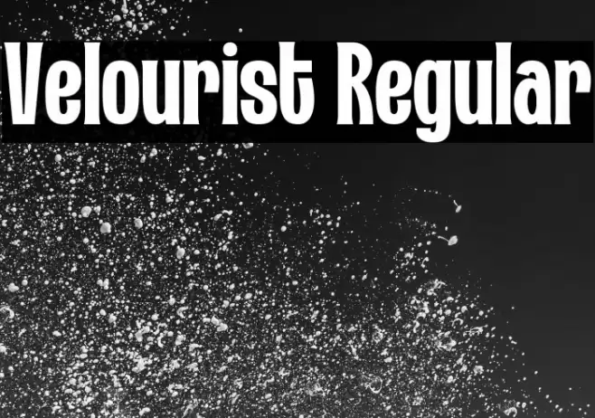 Velourist Regular Шрифта examples
