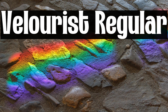 Velourist Regular Example 3