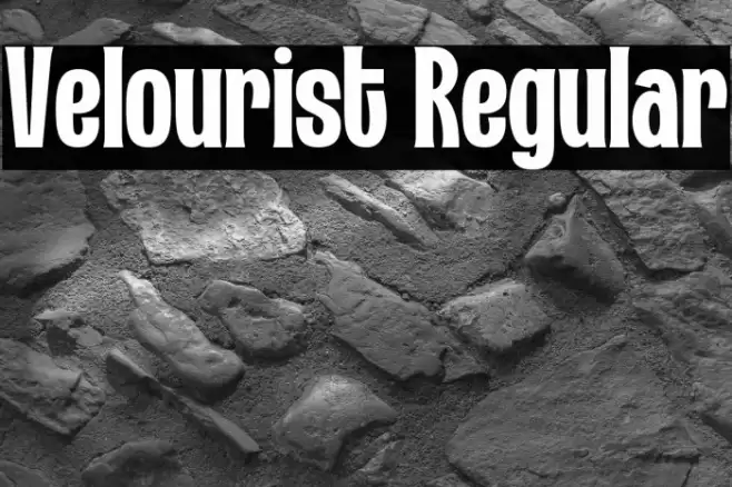 Velourist Regular Шрифта examples