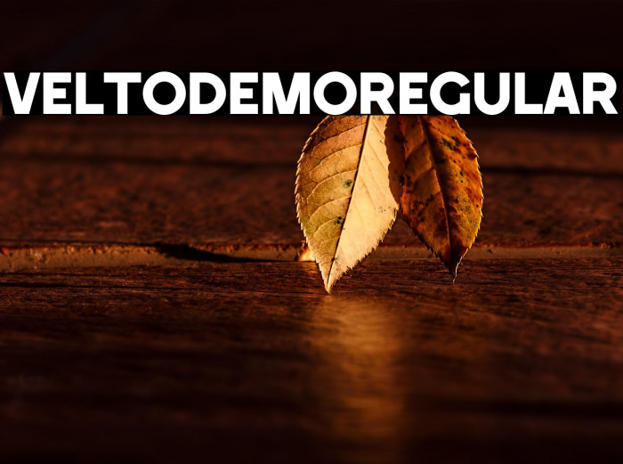 Velto Demo Regular Example 2