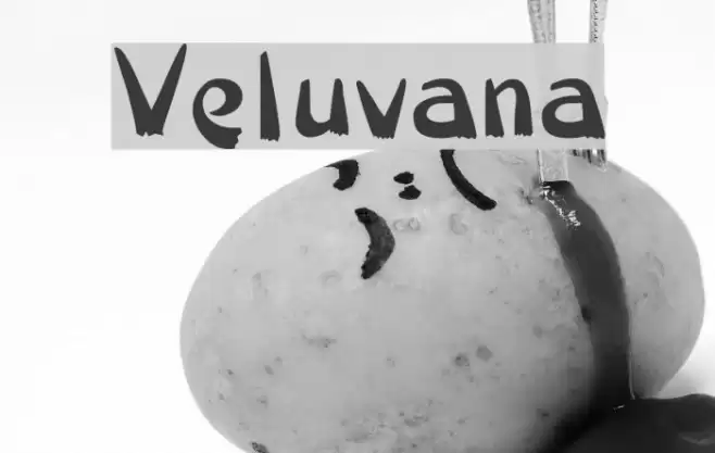 Veluvana Font examples