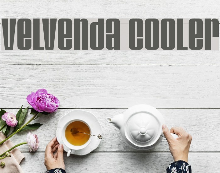 Velvenda Cooler Font examples