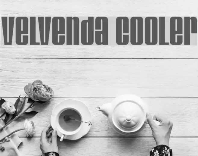 Velvenda Cooler Fonte examples