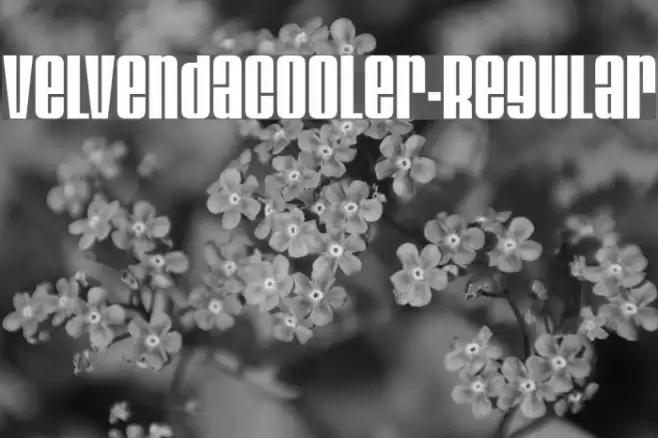 VelvendaCooler-Regular Font examples