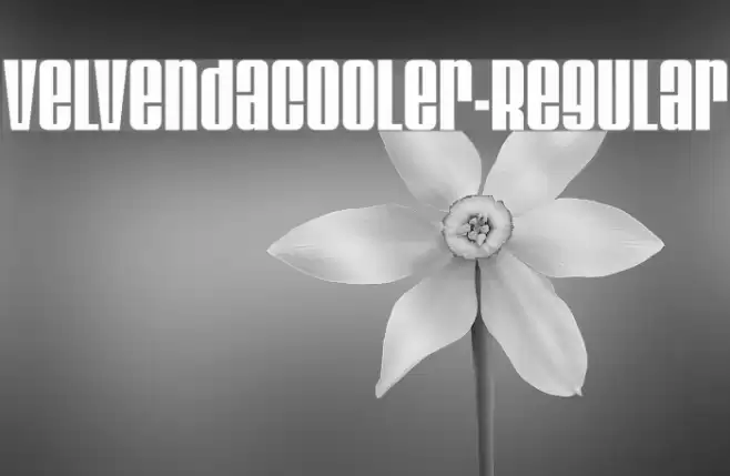 VelvendaCooler-Regular Font examples