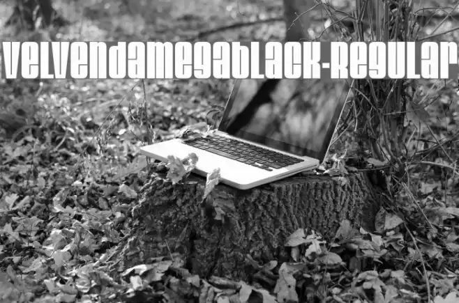 VelvendaMegablack-Regular Font examples