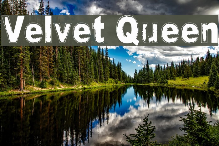 Velvet Queen Font examples