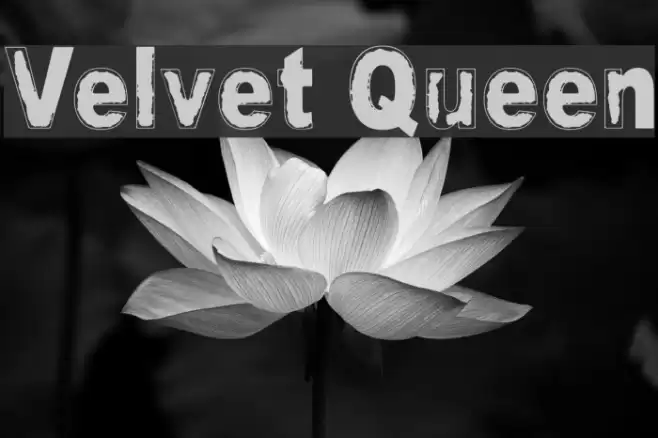 Velvet Queen Font examples
