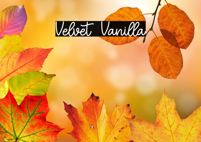 Velvet Vanilla Example 1