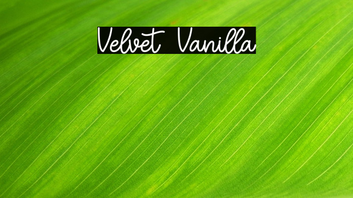 Velvet Vanilla Example 2
