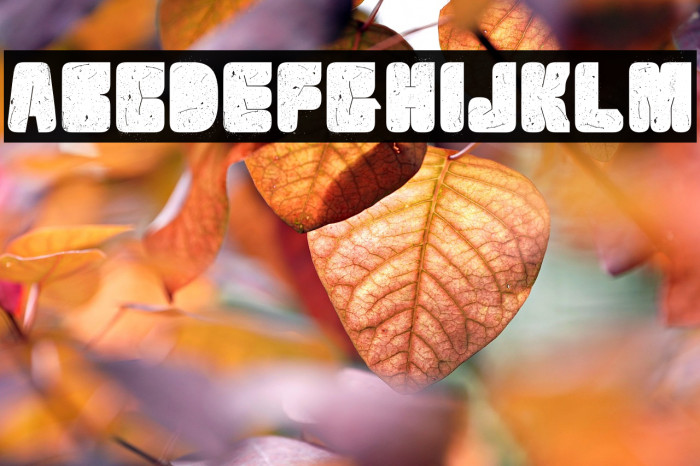 VelvetDrop Example 1