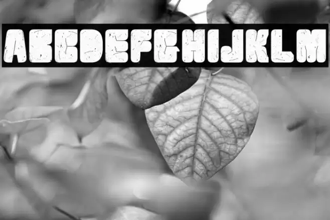 VelvetDrop Font examples