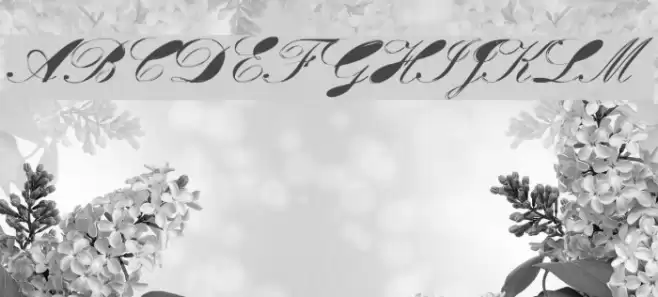 Velvet フォント examples