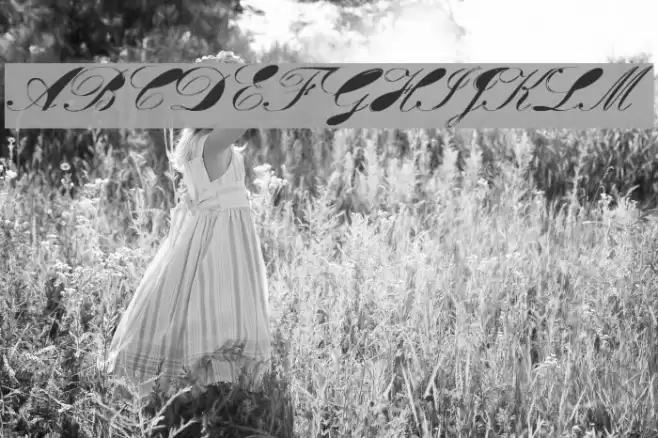 Velvet フォント examples