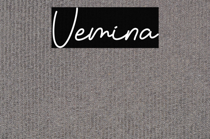 Vemina Example 1