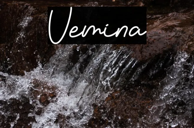 Vemina Example 2