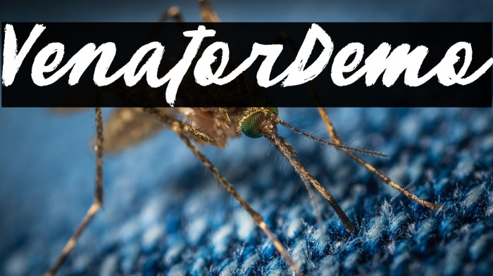 VenatorDemo Example 3