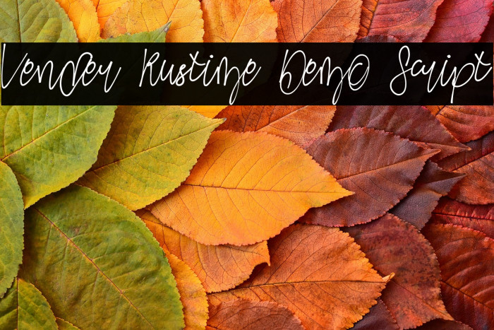 Vender Rustime Demo Script Example 1