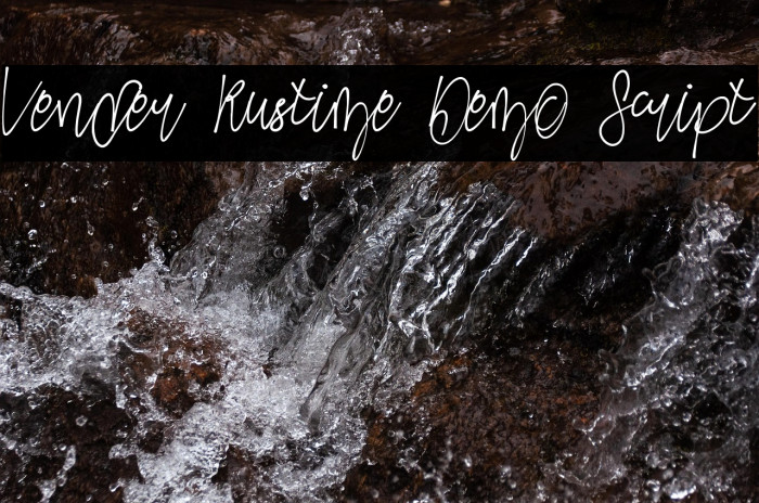 Vender Rustime Demo Script Example 3