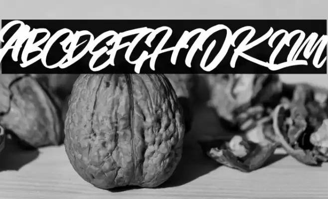 Vendetta Font examples