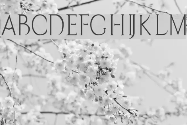 Vendetta Font examples