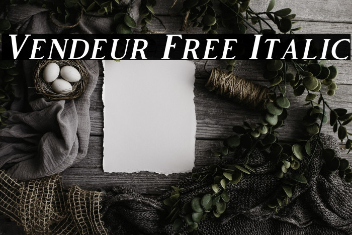 Vendeur Free Italic Example 1