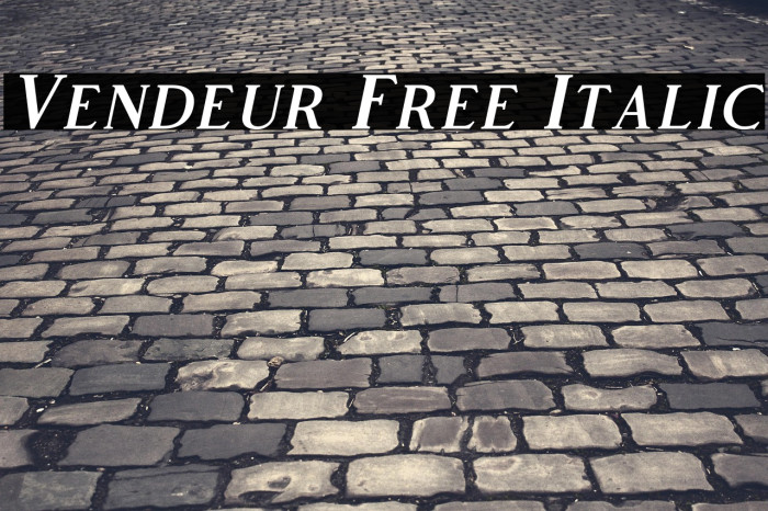 Vendeur Free Italic Example 2