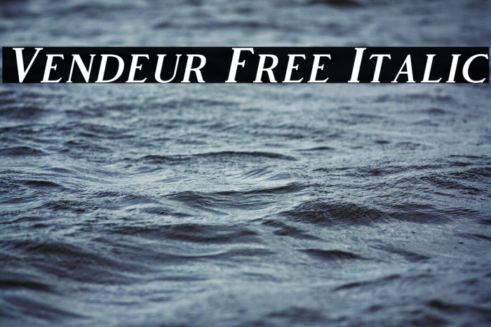 Vendeur Free Italic Example 3