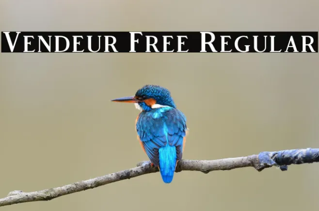 Vendeur Free Regular Example 1