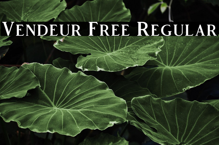 Vendeur Free Regular Example 2