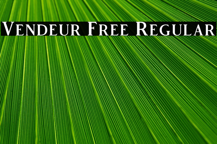 Vendeur Free Regular Example 3