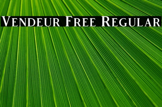 Vendeur Free Regular Example 3