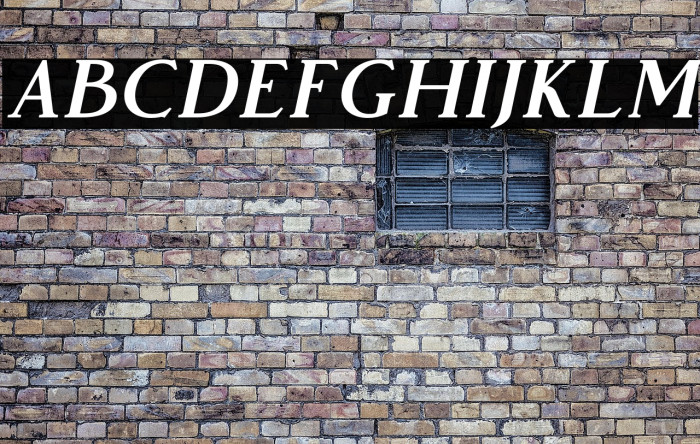 VendeurFree-Italic Example 1