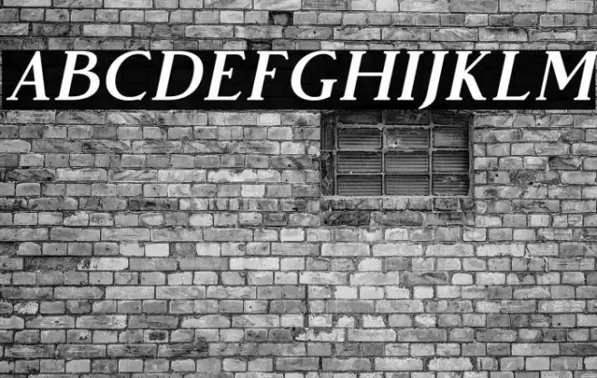 VendeurFree-Italic Font examples