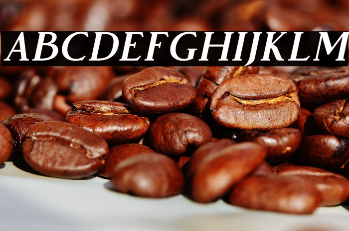 VendeurFree-Italic Example 2