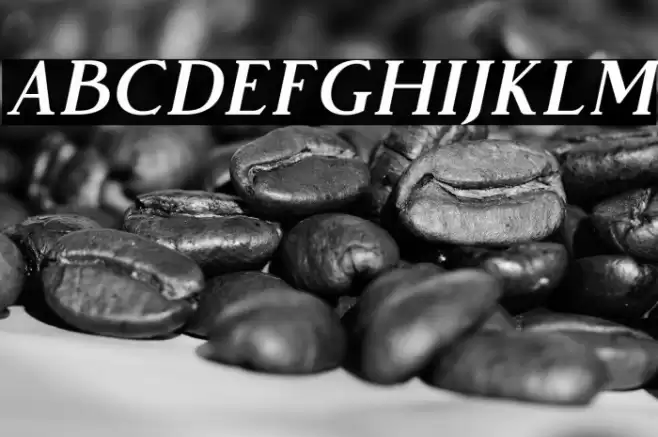 VendeurFree-Italic Font examples