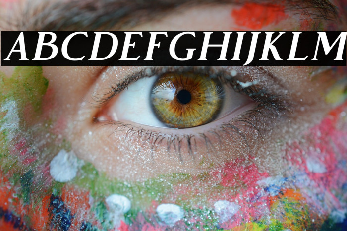 VendeurFree-Italic Example 3