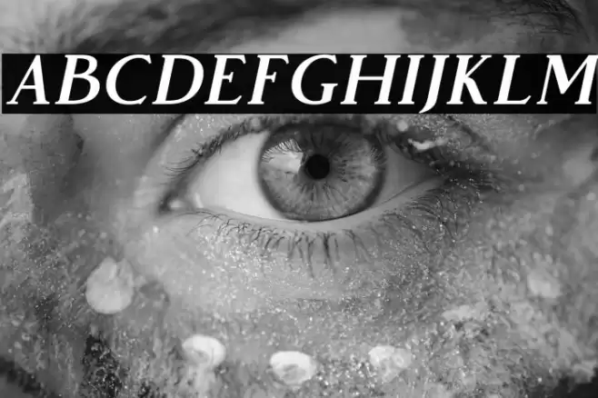 VendeurFree-Italic Font examples