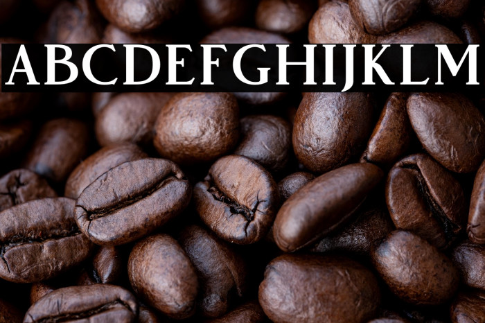 VendeurFree-Regular Example 1