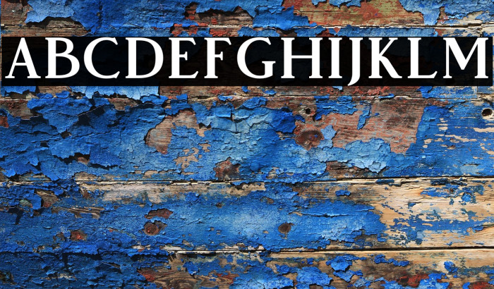 VendeurFree-Regular Example 2