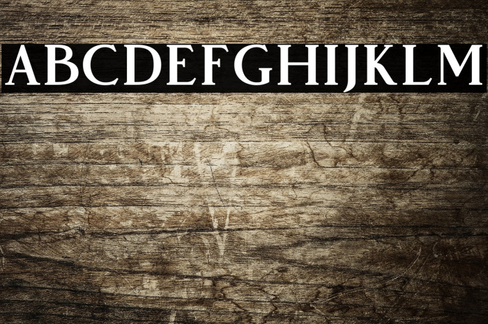 VendeurFree-Regular Example 3