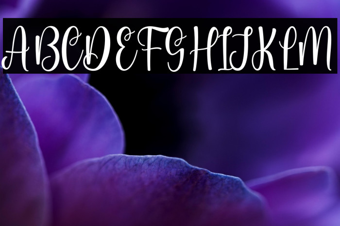 Vendora Rossie Personal Use Example 2