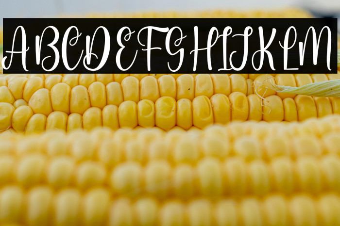 Vendora Rossie Personal Use Example 3