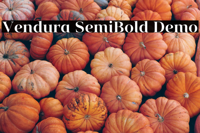 Vendura SemiBold Demo Example 1